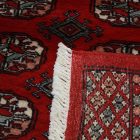 Behúň koberec Mauri 80x372 Koberec do chodby, vlněný koberec