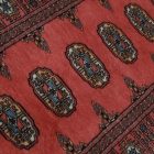 Behúň koberec Mauri 76x233 Koberec do chodby, vlněný koberec