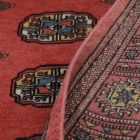 Behúň koberec Mauri 76x233 Koberec do chodby, vlněný koberec