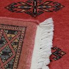 Behúň koberec Butterfly 78x237 Koberec do chodby, vlněný koberec