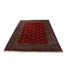 Pakistanský koberec červený Jaldar 156x248 ručne viazaný orientálny koberec