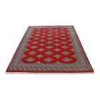Pakistanský koberec Bukhara 153x245 ručne viazaný orientálny koberec