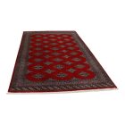 Pakistanský koberec Bukhara 153x245 ručne viazaný orientálny koberec
