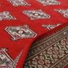Pakistanský koberec Bukhara 153x245 ručne viazaný orientálny koberec