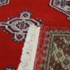 Pakistanský koberec Bukhara 153x245 ručne viazaný orientálny koberec