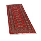 Koberec Behúň Bukhara 61x181 Pakistanský koberec na chodbe