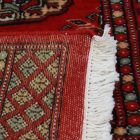 Koberec Behúň Bukhara 61x181 Pakistanský koberec na chodbe