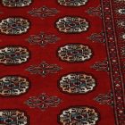 Pakistanský koberec Bukhara 93x155 ručne viazaný orientálny koberec