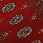 Pakistanský koberec Bukhara 79x124 ručne viazaný orientálny koberec