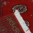 Pakistanský koberec Bukhara 79x124 ručne viazaný orientálny koberec