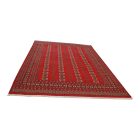 Pakistanský koberec Bukhara 220x297 ručne viazaný orientálny koberec