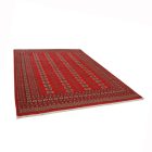 Pakistanský koberec Bukhara 220x297 ručne viazaný orientálny koberec