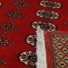 Pakistanský koberec Bukhara 220x297 ručne viazaný orientálny koberec