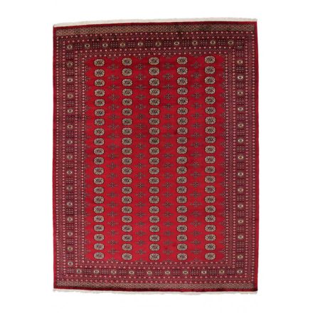 Pakistanský koberec Bukhara 280x366 ručne viazaný orientálny koberec
