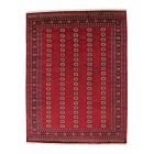 Pakistanský koberec Bukhara 280x366 ručne viazaný orientálny koberec