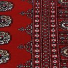 Pakistanský koberec Bukhara 280x366 ručne viazaný orientálny koberec