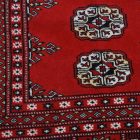 Veľký koberec bordový Bokhara 278x372 ručne viazaný pakistanský koberec do obývačky